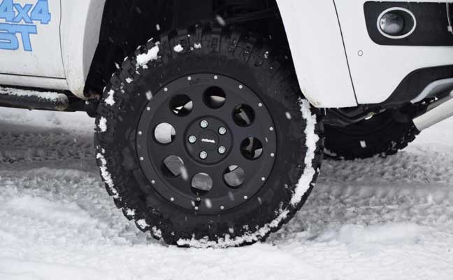 Winter wheels for SUVs and pickups delta 4x4