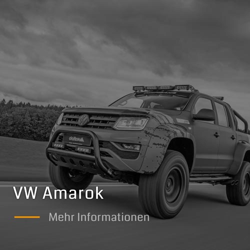 delta4x4 Offroad PIAA Beleuchtung