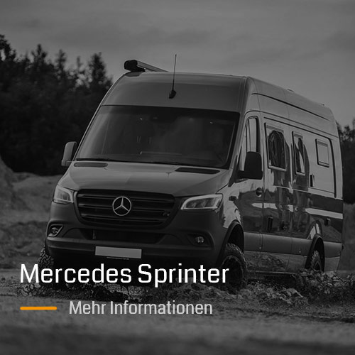 delta4x4 Offroad PIAA Beleuchtung